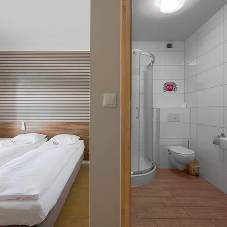 Ms Pro W Dzwirzynie Дзвижино