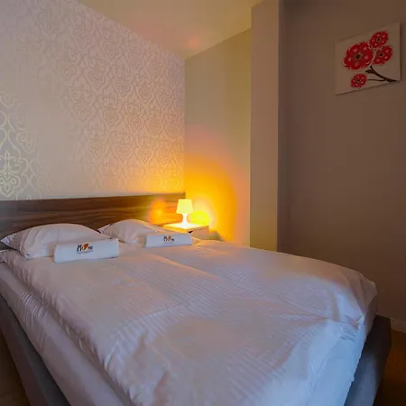 Ms Pro W Dzwirzynie *