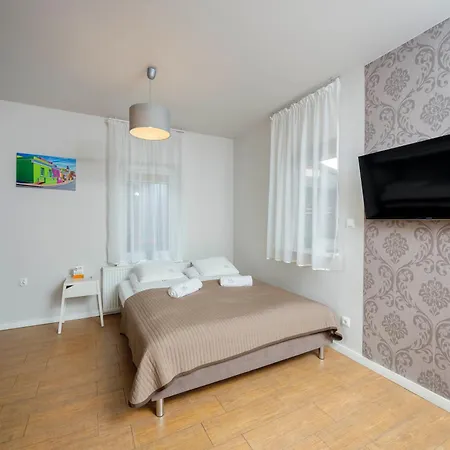 Ms Pro W Dzwirzynie *