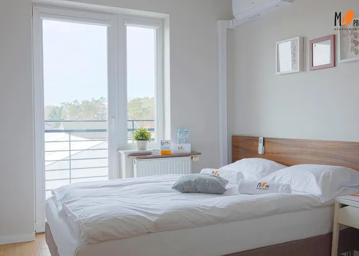 Ms Pro W Dzwirzynie *